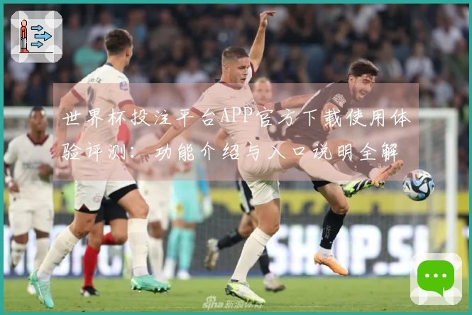 世界杯投注平台APP官方下载使用体验评测：功能介绍与入口说明全解析