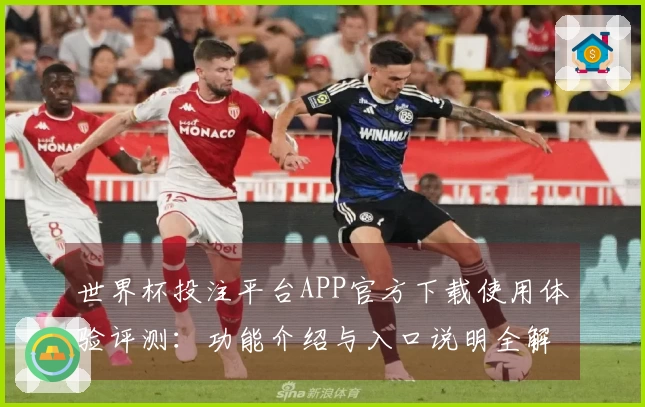 世界杯投注平台APP官方下载使用体验评测：功能介绍与入口说明全解析